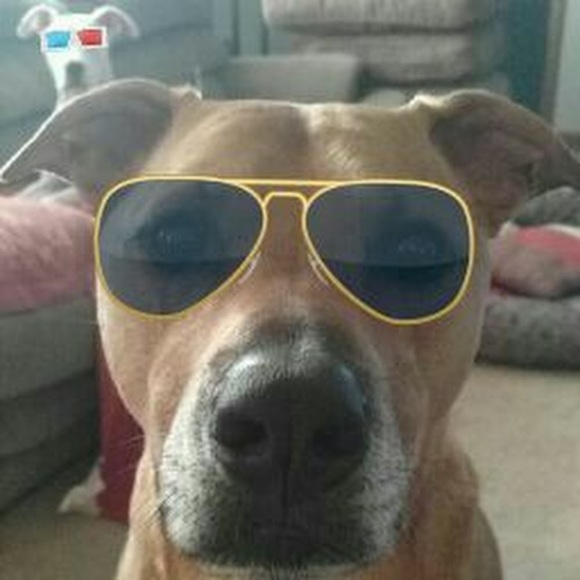 Meet your Posher, Megan - Picture 1 of 1